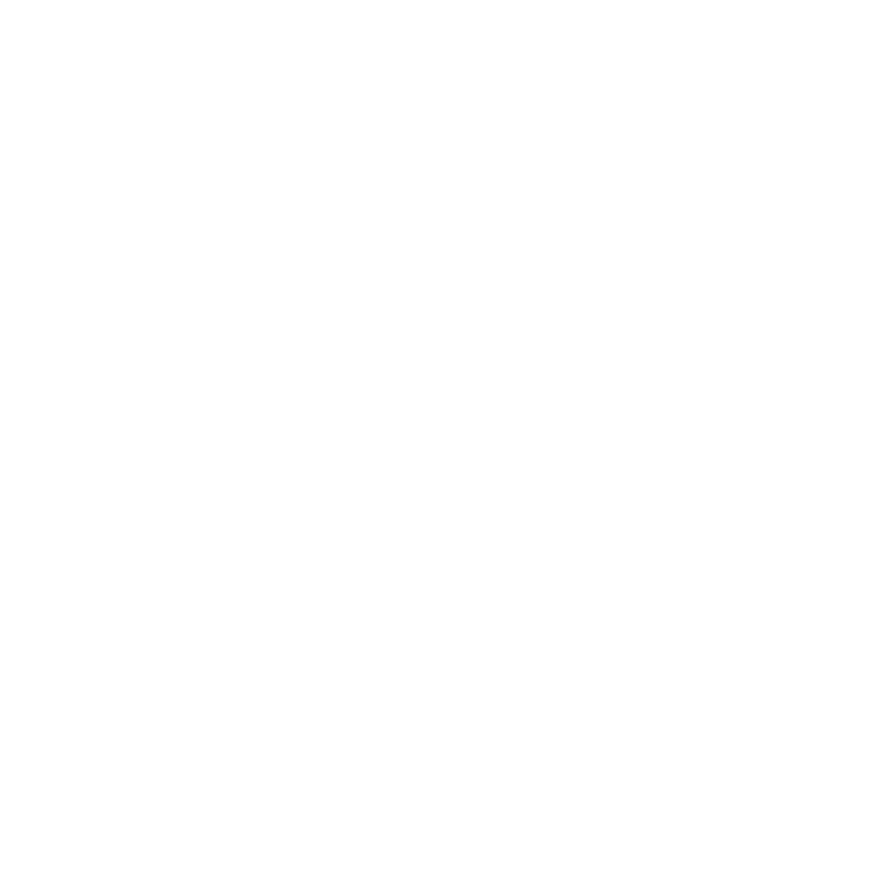 SP Solution - Problem Solving e Conoscenza del Settore